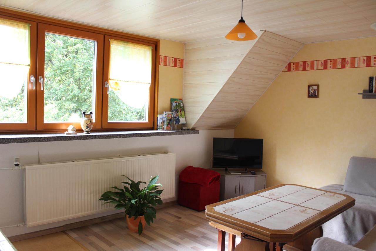 Ferienwohnung Illing Direkt Am Ski Und Rodelhang
