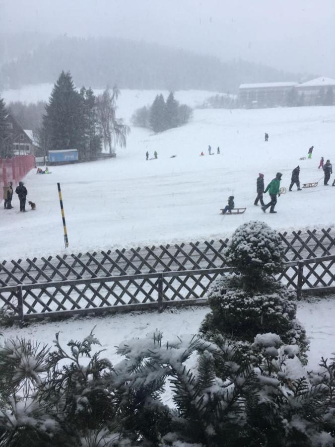 Apartment Ferienwohnung Illing Direkt Am Ski Und Rodelhang *