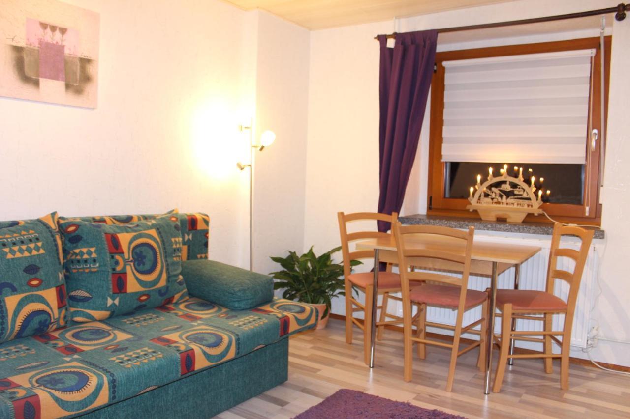 Apartment Ferienwohnung Illing Direkt Am Ski Und Rodelhang Oberwiesenthal